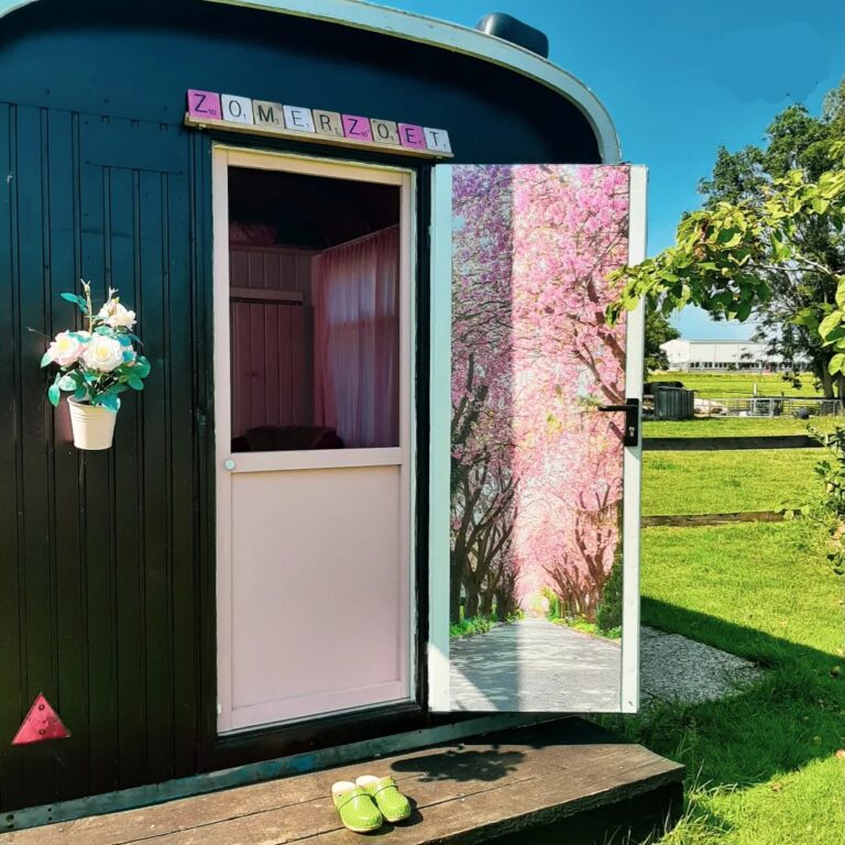 Screenshot_20250925_142501_Instagram (1)